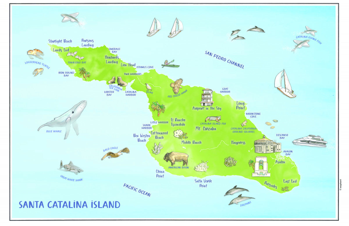 Catalina Island Illustrated Map Placemats, set of 4