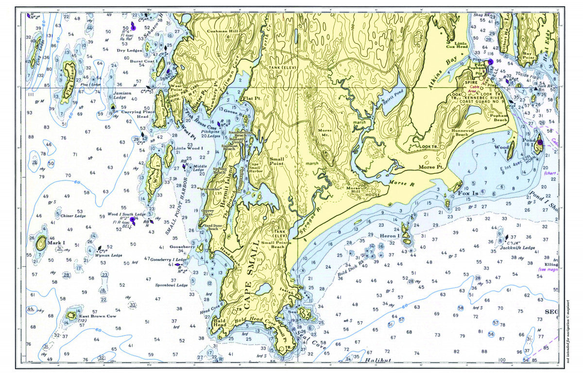 Hermit Island Nautical Chart Placemats, set of 4